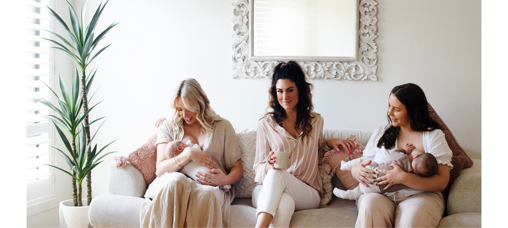 Buy Disposable Postpartum Underwear  Milk & Cookies By Jewels – your birth  bestie